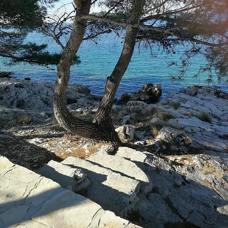 House Kod Dide Holiday home Primosten