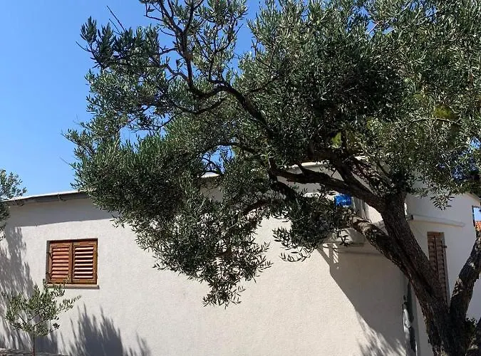 Semesterbostad House Kod Dide