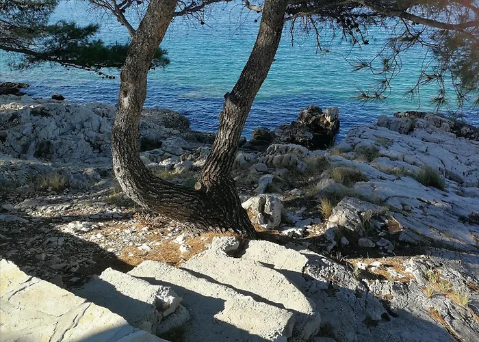 House Kod Dide Casa vacanze Primošten